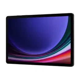 Samsung Galaxy Tab S9 - Tablette - Android 13 - 256 Go - 11" AMOLED (2560 x 1600) - Logement microSD... (SM-X710NZAEEUB)_3